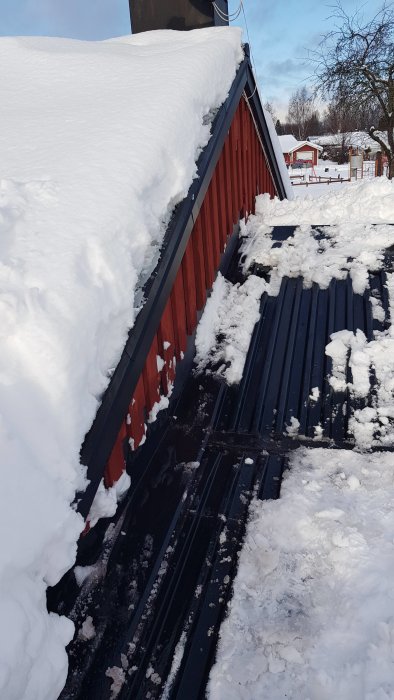 20190208_105020.jpg