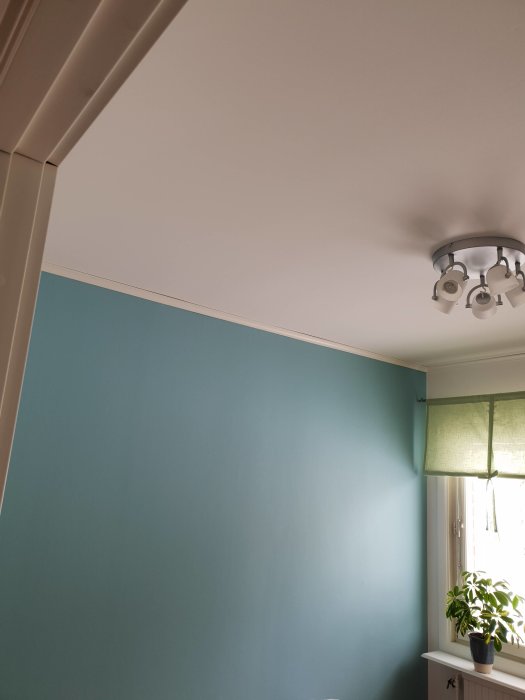 Nyrenoverat rum med släta gipsskarvar, målade väggar i ljusblått och vitt tak, spotlights och ett fönster med grönt gardin.