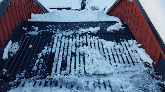 20190208_154657.jpg