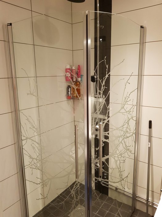 Glasdörrar till dusch med dekor av grenar, inget tydligt märke synligt.