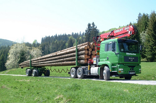 Lastbil lastad med långa trästammar på en lantlig väg, illustrerar transport av bauholz eller langholz.