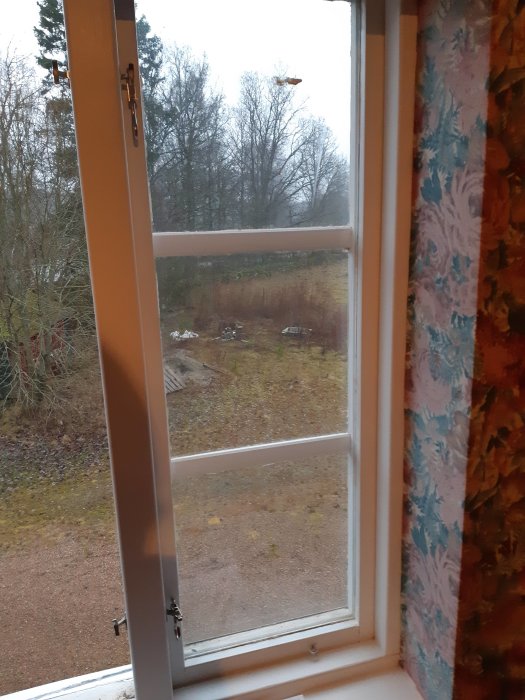 Utsikt genom öppet tvåglasfönster med spröjs och vit karm i ett äldre hus, utsikt mot trädgård.