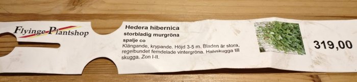 Etikett för Hedera hibernica med skötselanvisningar och pris, liggande på ett träbord.