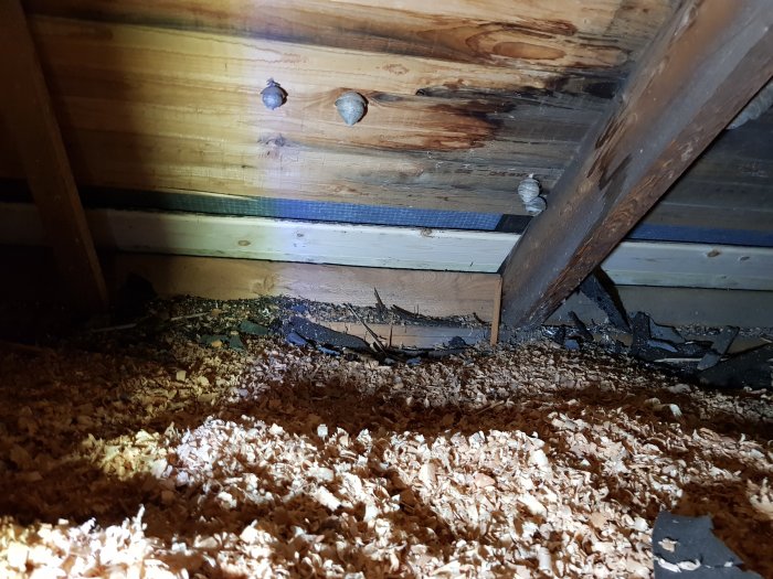 Vy under tak med fuktskadad råspont och en avsiktlig glipa för ventilation på vinden, med synliga spånskivor.