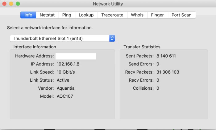 Skärmdump av nätverksverktyg som visar ingen paketförlust och 10 Gbit/s länkhastighet.