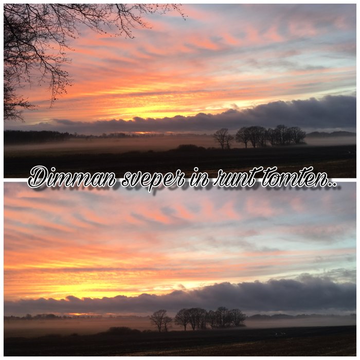 Solnedgång med orange och rosa himmel ovanför ett dimtäckt landskap med trädsilhuetter och texten "Dimman sveper in runt tomten".