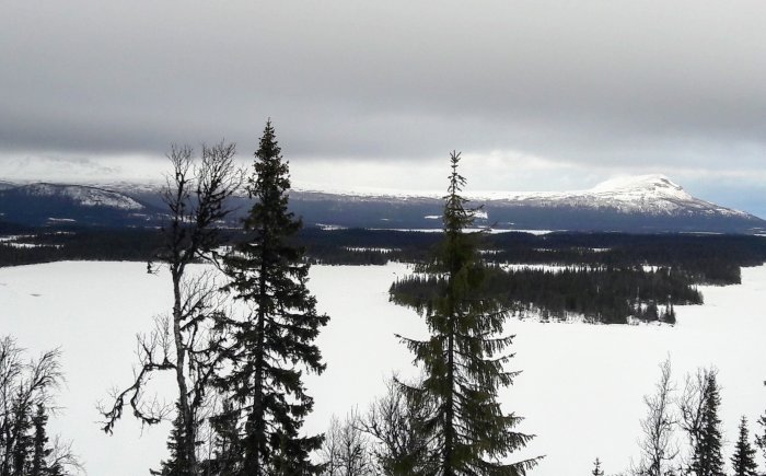 Molnigt fjällandskap med snötäckt skog och bergstoppar före storm.