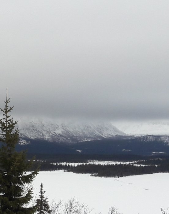 Mörka moln över snötäckt landskap med träd och berg före en storm.