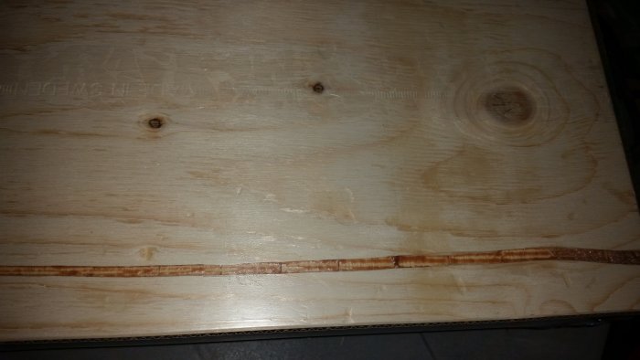 3 - kopia.jpg