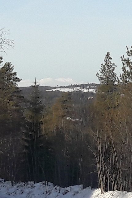 Vy över skog med Marsfjällsmassivet i bakgrunden, synligt på avstånd.