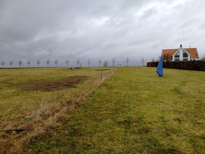 Öppet grönt fält med en blå lekkon i förgrunden och ett hus med trädallé i bakgrunden under molnig himmel.