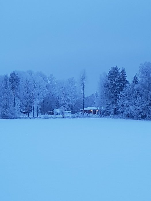 Vinterlandskap med snötäckta träd och ett hus i bakgrunden under skymningen.