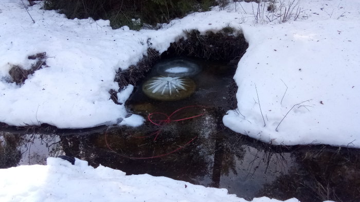 Vattenledningslock i issmältning omgivet av snö och en markering med röd krita.