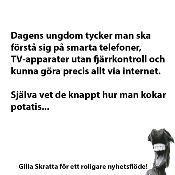 Textmem med texten "Dagens ungdom..." och en bild på en skrattande hästs ansikte, med uppmaning att "Gilla" för roligare flöde.