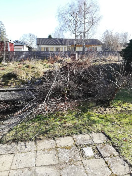 framsida.jpg