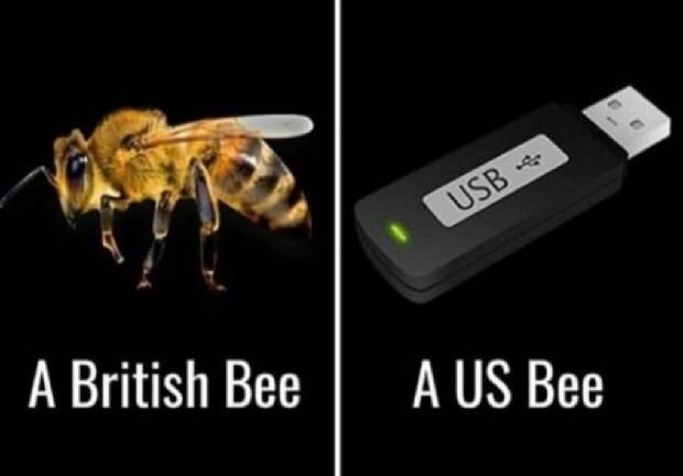 Humoristisk jämförelse mellan en bi-illustration med texten "A British Bee" och en USB-minne med texten "A US Bee".