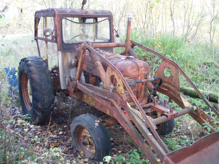 Gammal rostig T31 traktor med frontlastare i skogen, slitna däck och patina.