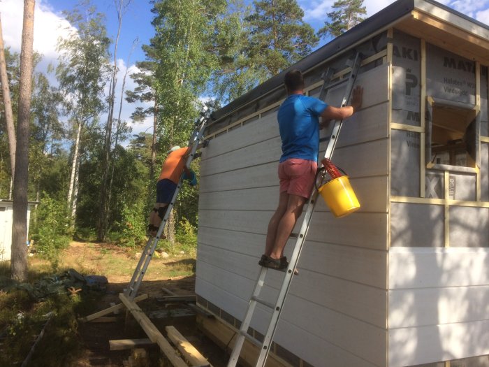 Två personer på stegar monterar panelbrädor på en ladugårdsvägg omgiven av skog.