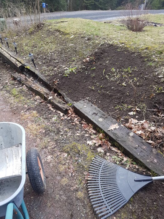 Rensad och jordfräst rabatt redo för plantering vid infart med kratta och skottkärra i förgrunden.