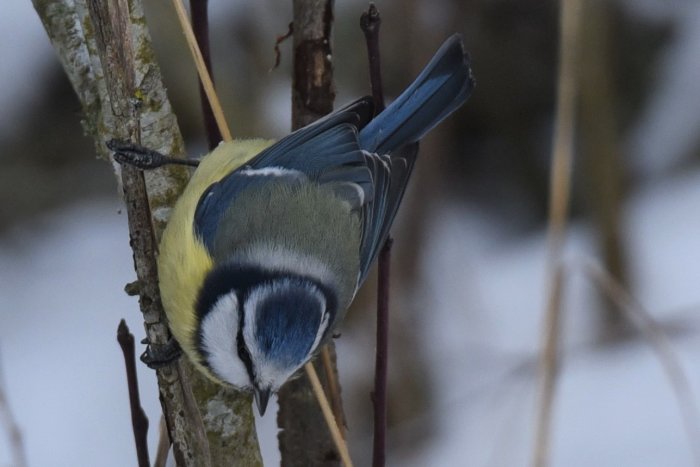 DSC_6174.JPG