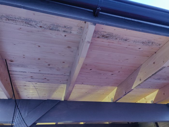 Bild på insidan av en carport med synlig svartmögel på takets råspont och balkar.