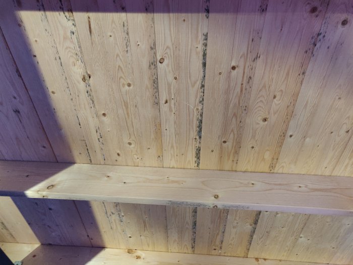 Insida av carporttak med svartmögel på råspånt och balkar.