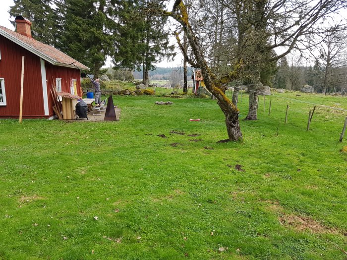 Trädgård vid röd stuga med gräs, träd, staket och uteplats, nära naturen.
