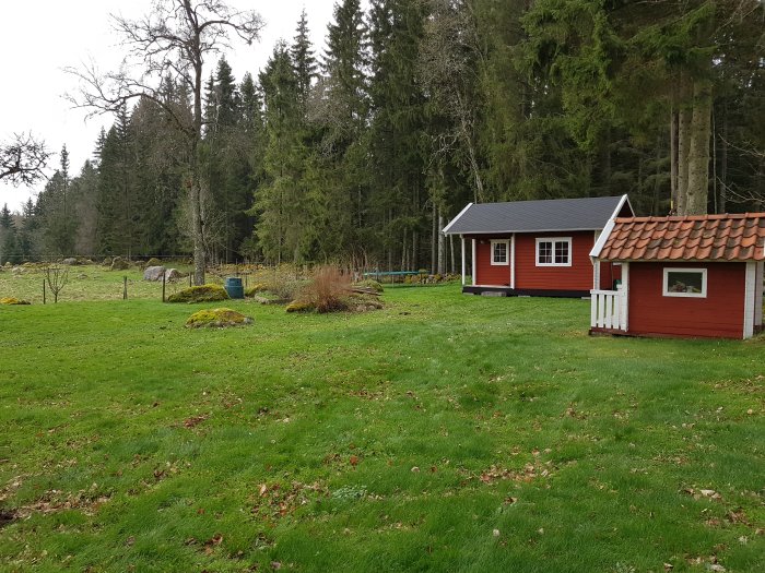 Trädgård vid röd stuga med uthus vid skogsbryn, grön gräsmatta och stenomgärdad rabatt i zon 5.