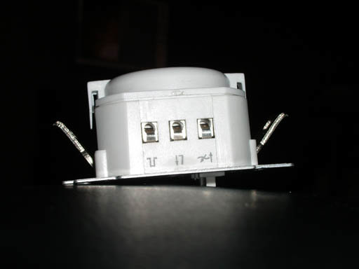 IMGP2596.jpg