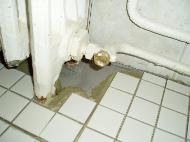 P1010027.jpg