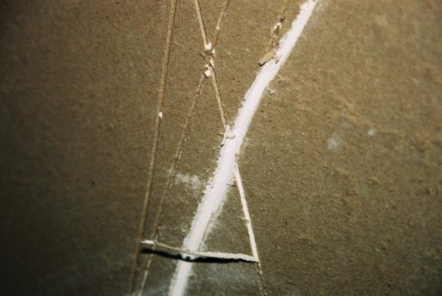 F1000007.jpg