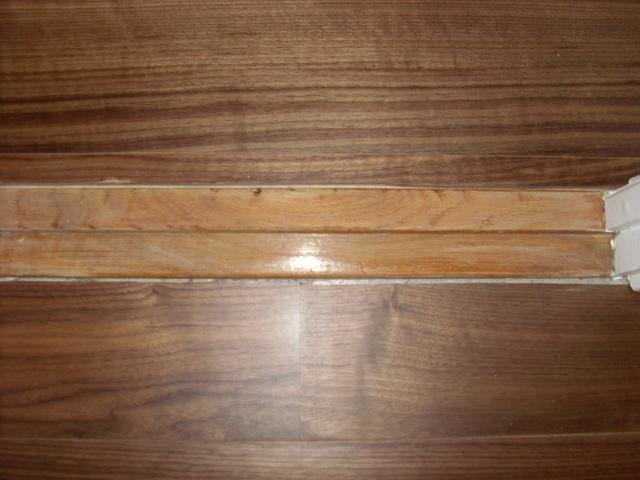 SL381843.jpg