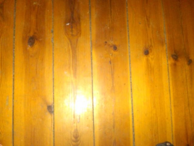 IMG00025-20100219-2029.jpg