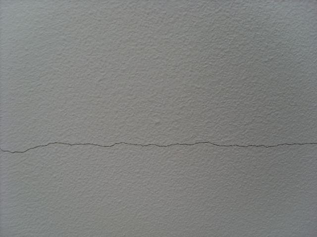 SL381862.jpg