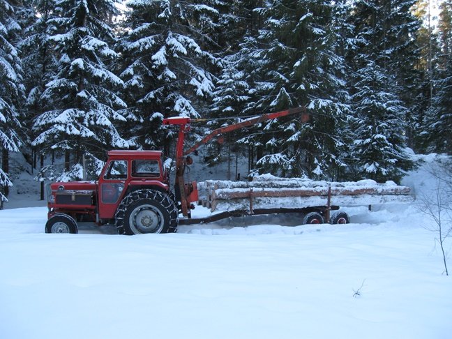 Traktor med timmerkran som lastar långa stockar i vinterskog efter stormfällning.