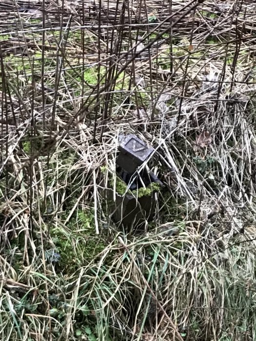 Gammal avloppsbrunn med betonglock omringad av vissna gräs och grenar på en övergiven tomt.