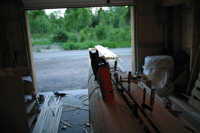 Katt som inspekterar ribbningen på en båt under konstruktion i en verkstad med öppen garageport.