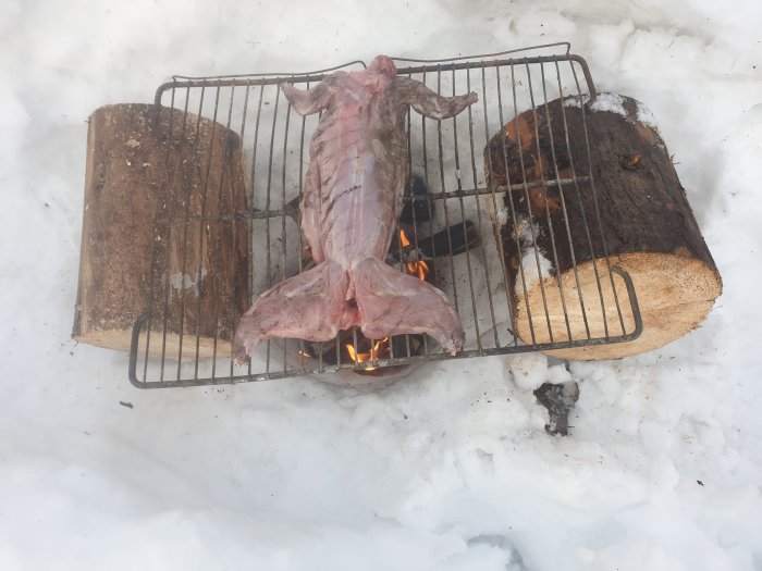 En flådd kanin som grillas på en grill över vedträn i snö.