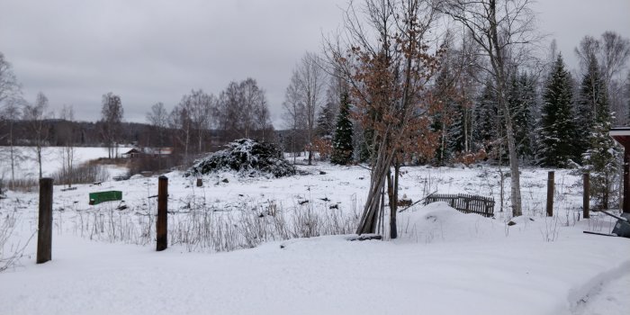 Ett vinterlandskap med avverkat trädavfall i högar nära ett fritidshus och en fryst sjö.