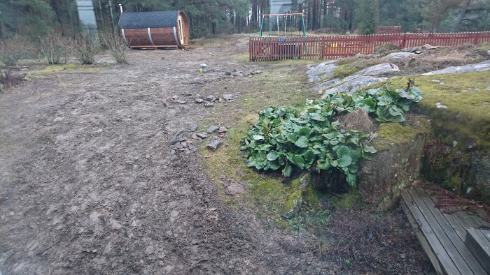 Uppgrävd slänt med stenar och växter nära en trätrall, bastutunna i bakgrunden och en lekpark med röd staket.