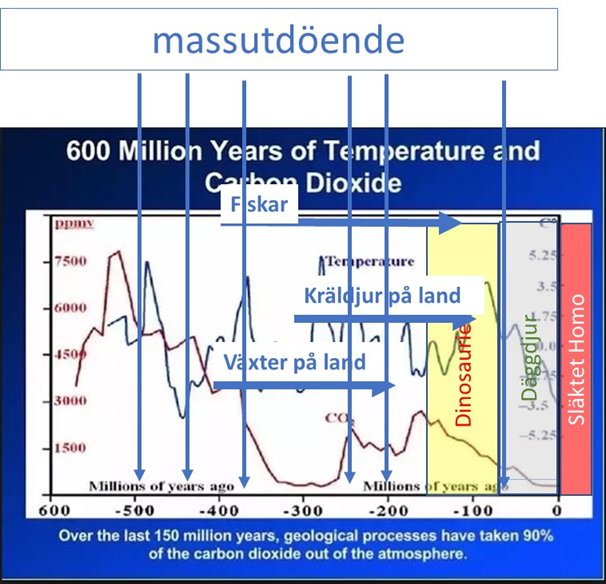 Graf som visar jordens temperatur och koldioxidnivåer över 600 miljoner år, med milstolpar för livets utveckling.