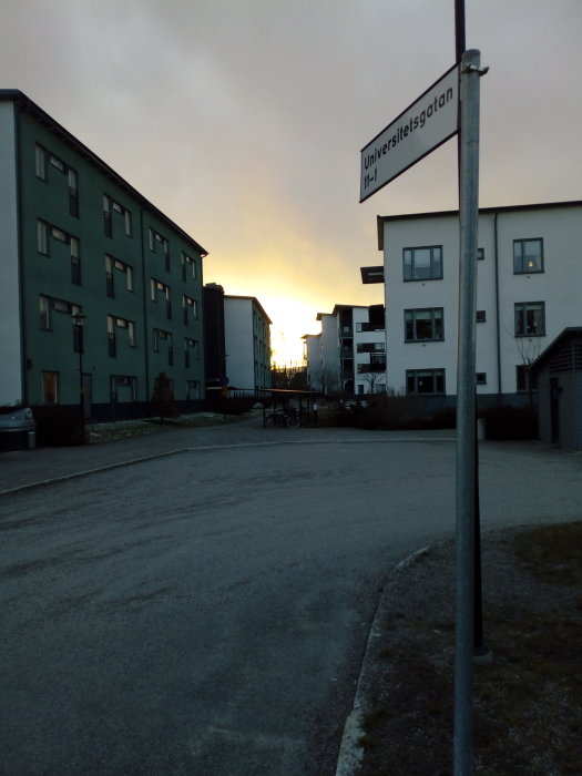 Solnedgång som lyser upp himlen bakom moderna bostadshus och ett skyltat gatunamn "Universitetsgatan".