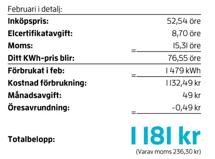 Elräkning som visar detaljerad kostnadsuppdelning med totalbelopp på 1181 kr.