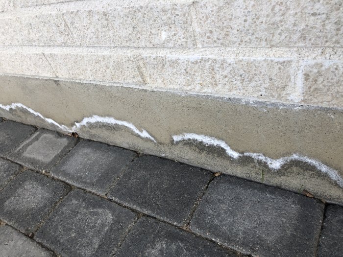 Vit avlagring längs husgrund ovanför nylagda stenplattor, möjlig salt- eller kalkavlagring.