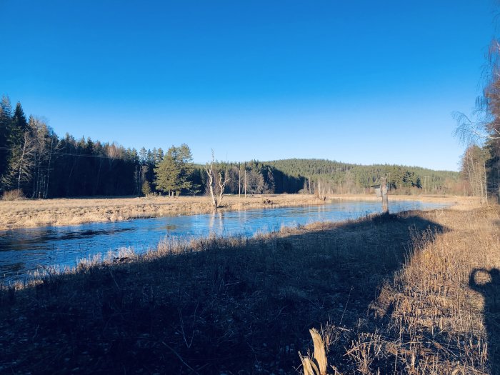 Utsikt över Emån från en tänkt bastuposition, med träd och öppet landskap under klarblå himmel.