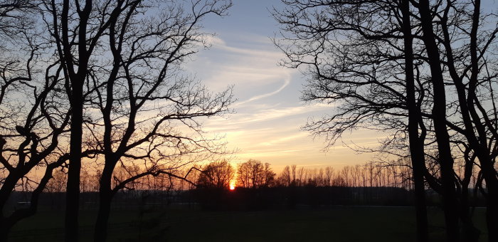 Solnedgång med silhuett av träd mot en färggrann himmel.