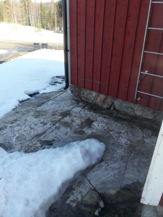 20190330_091906.jpg