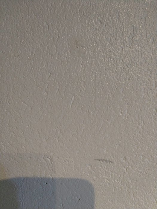 IMG_20190316_154243.jpg