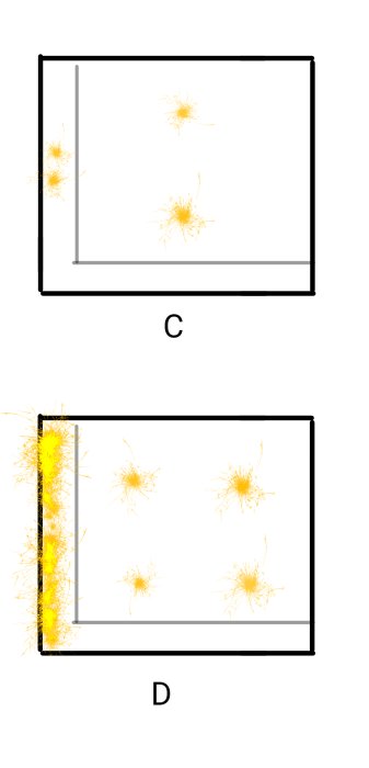Schematiska bilder av belysningsalternativ för badrumstak, C visar två lampor och D visar ledlist plus lampor.