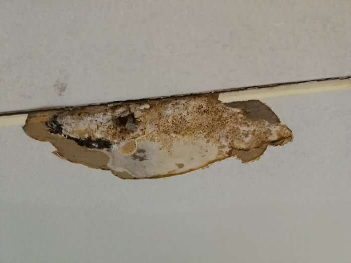 Skadat och fläckigt innertak med en porös och delvis nedfallen panel.